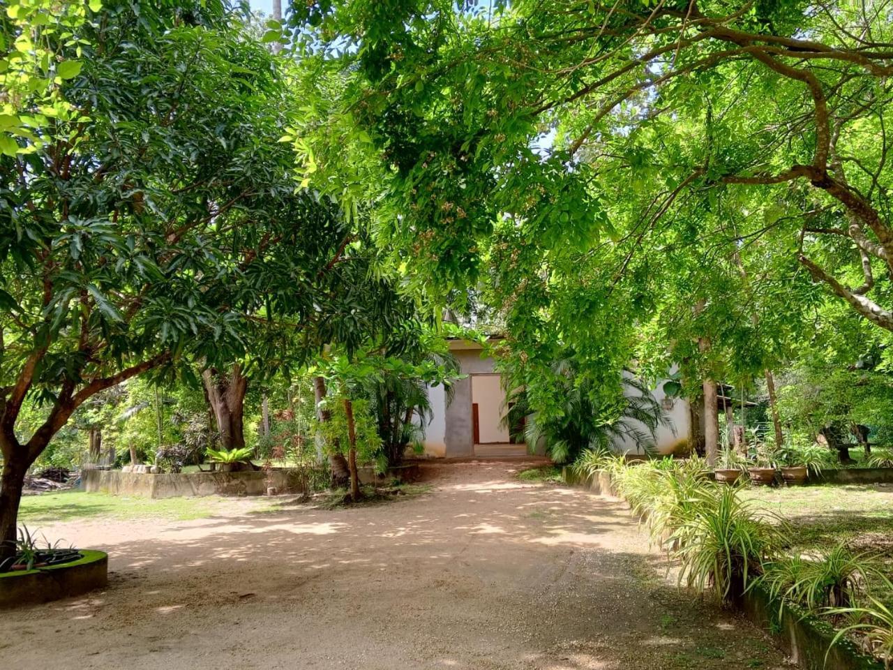 Hotel Deer Garden Guest Polonnaruwa Zewnętrze zdjęcie